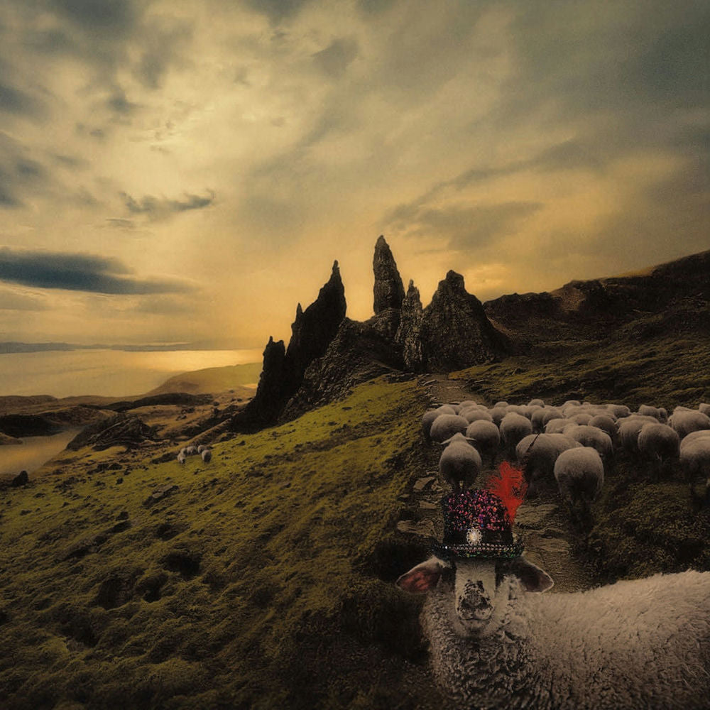 Sheeple cover