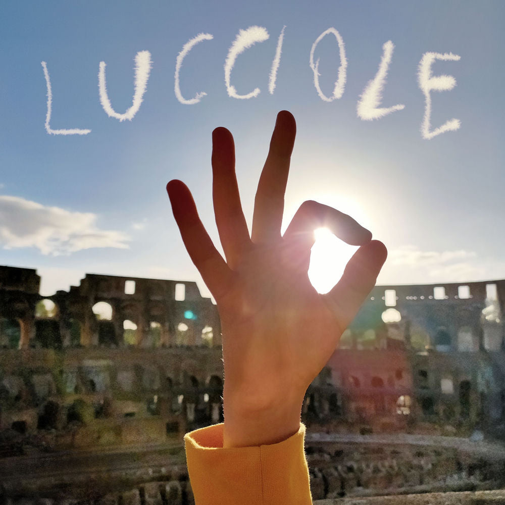 Lucciole cover