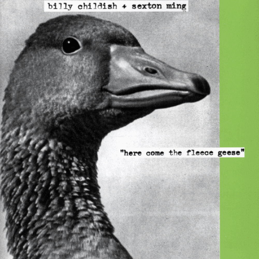 Here Come the Fleece Geese cover