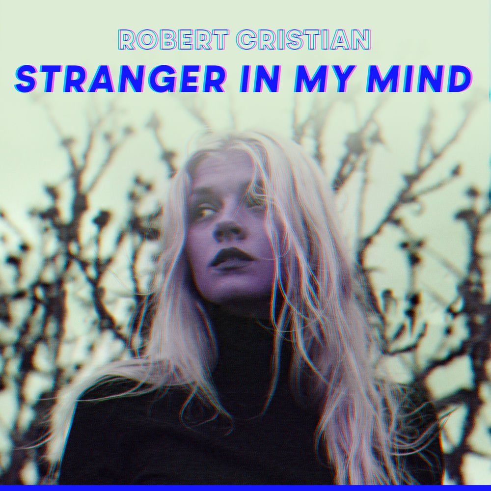 Stranger In My Land cover