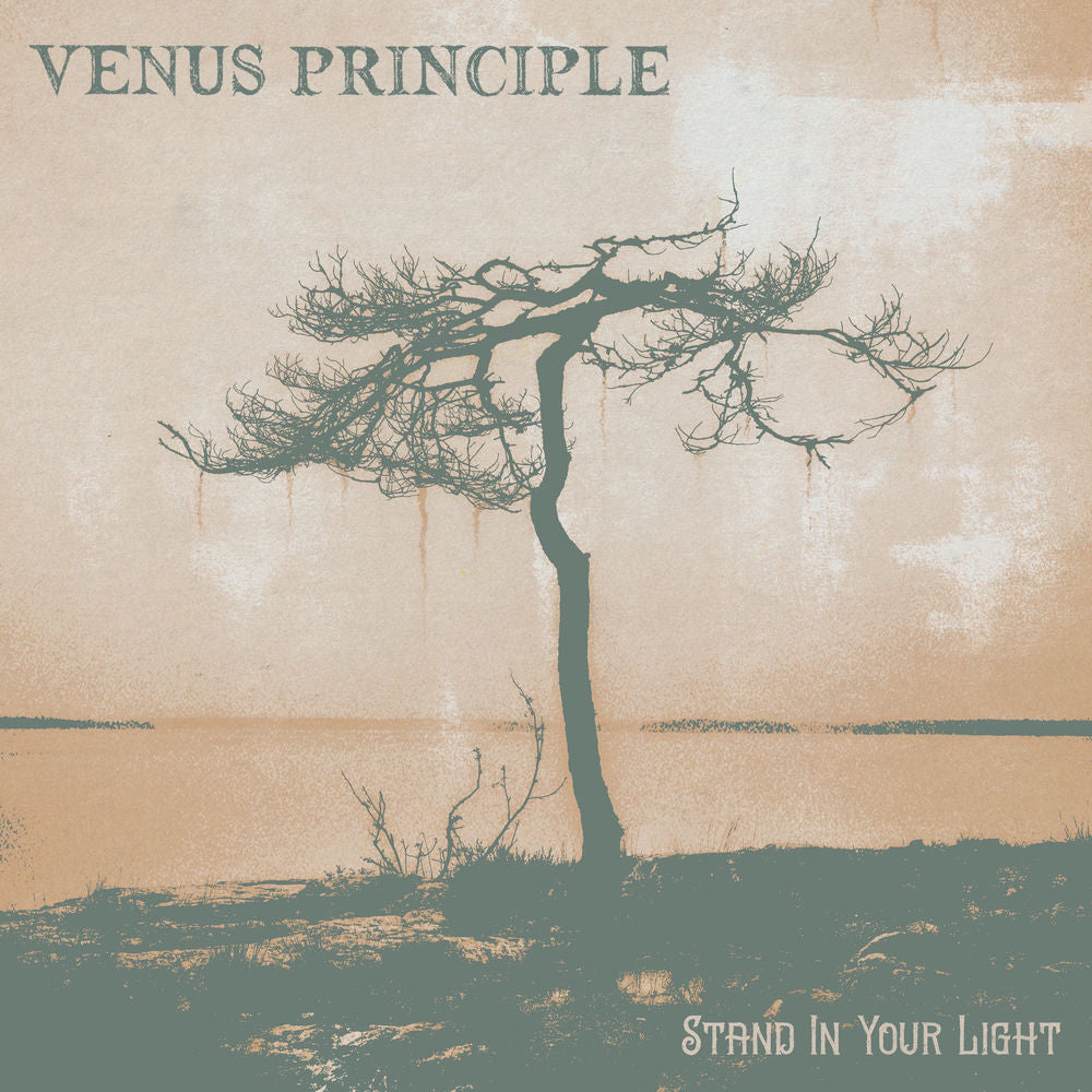 Stand In Your Light cover