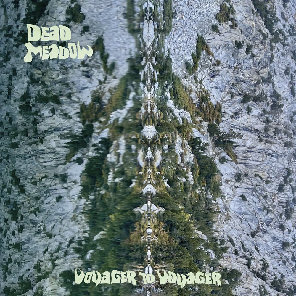 Voyager to Voyager cover