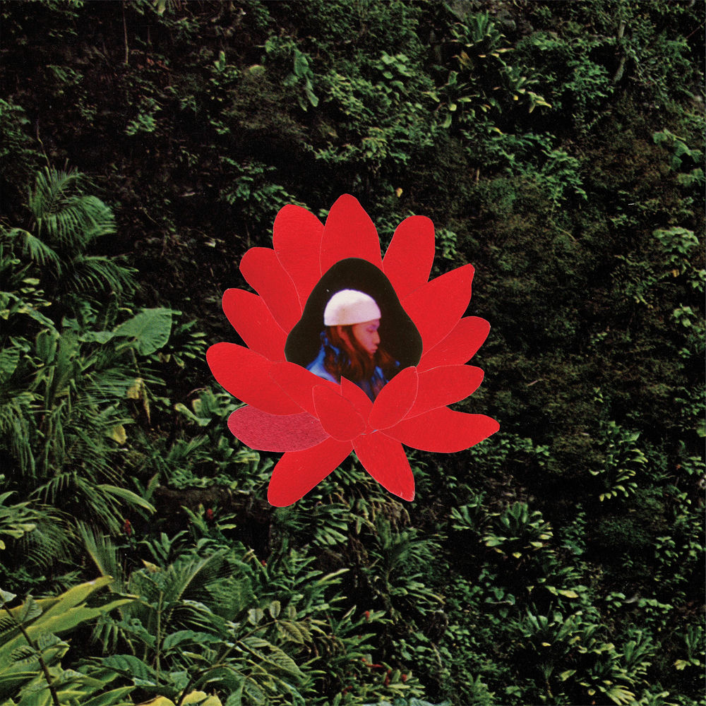 WHEN THE FLOWERS BLOOM cover