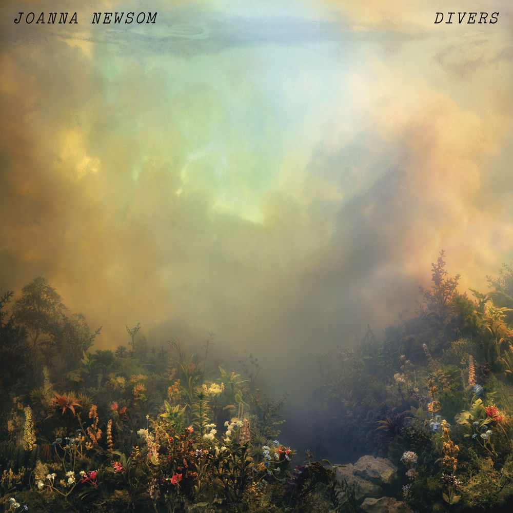 Divers cover