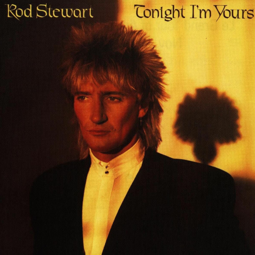 Tonight I'm Yours cover