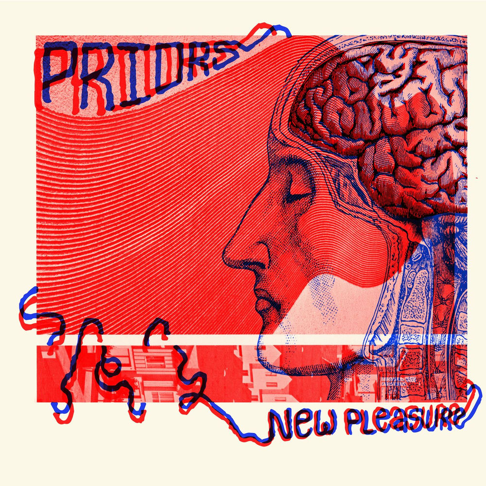 New Pleasure cover