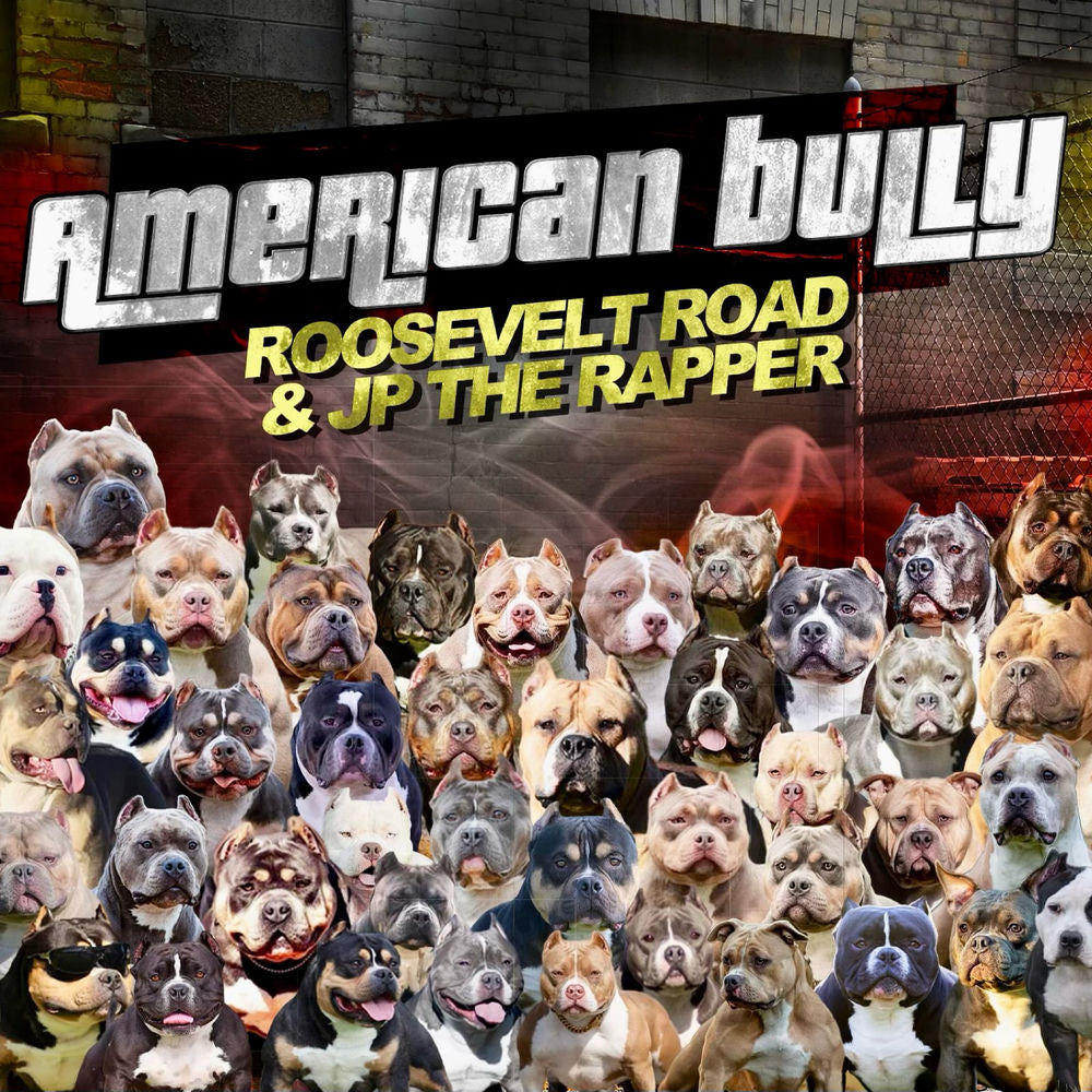 American Bully XL cover