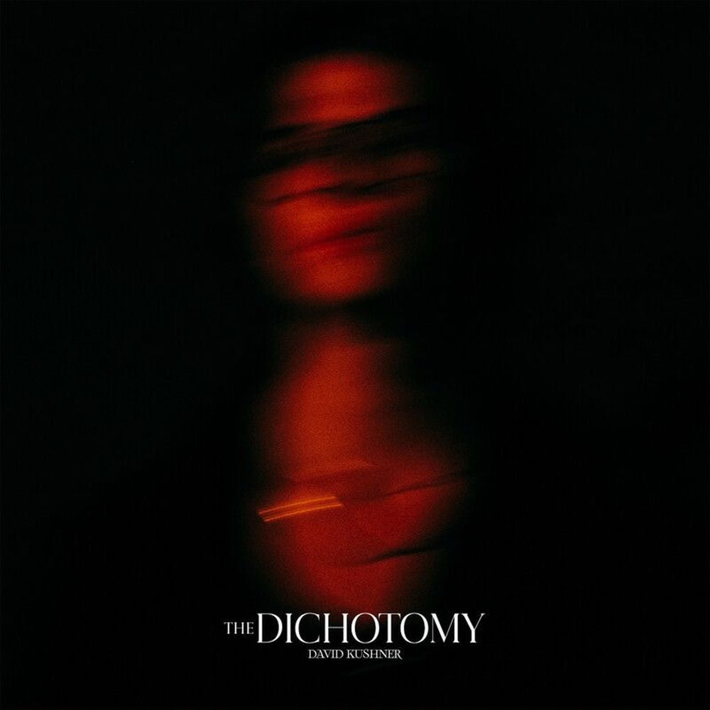 The Dichotomy cover