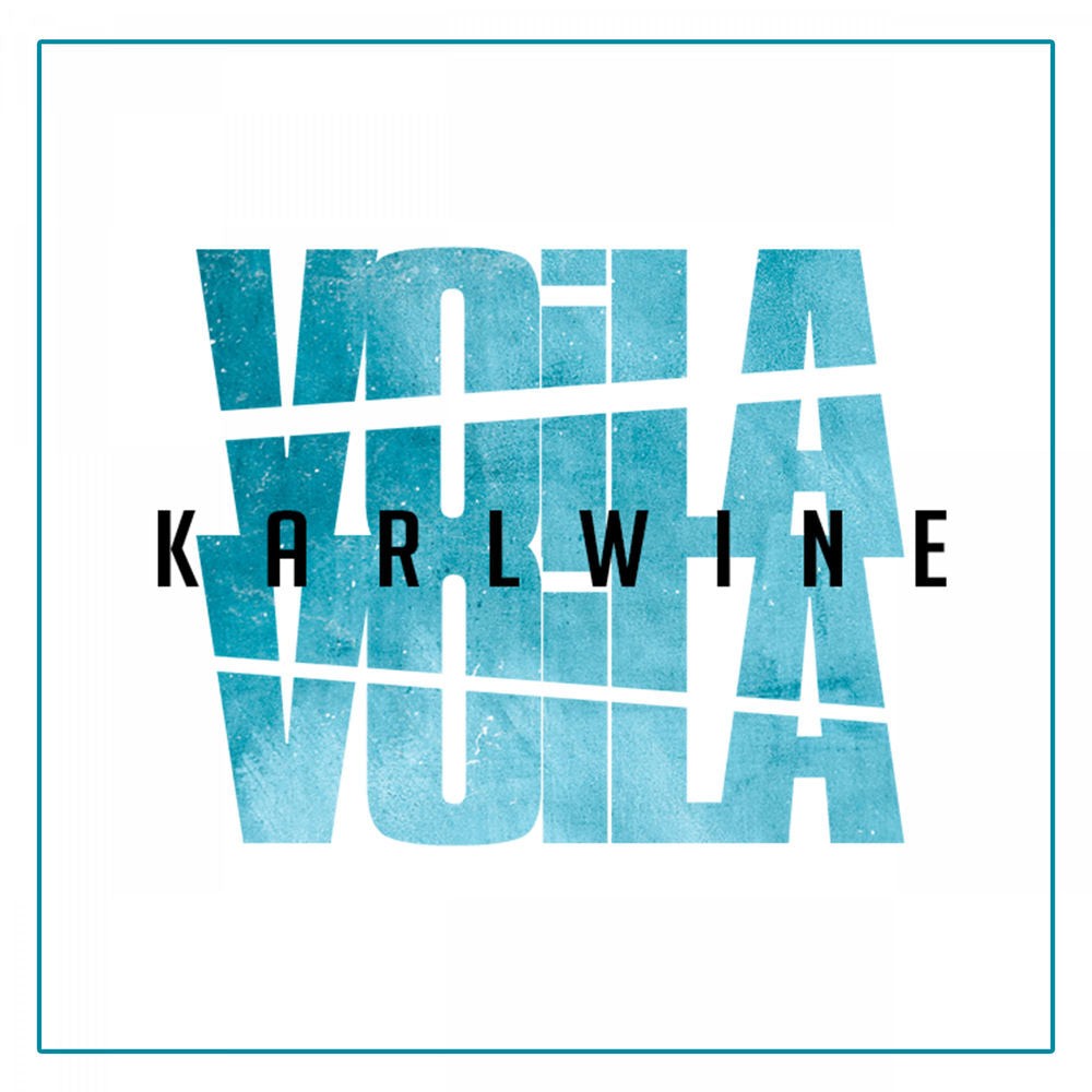Viola Voila cover