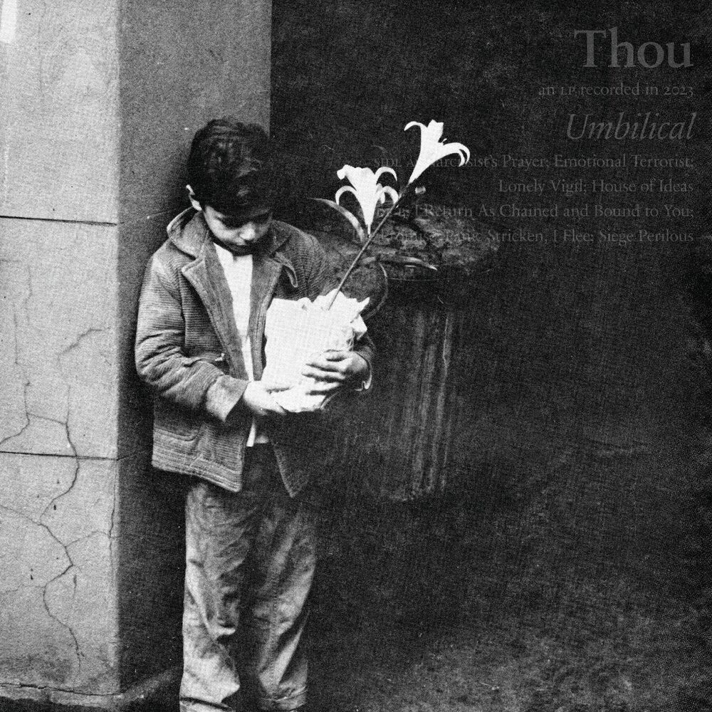 Umbilical cover