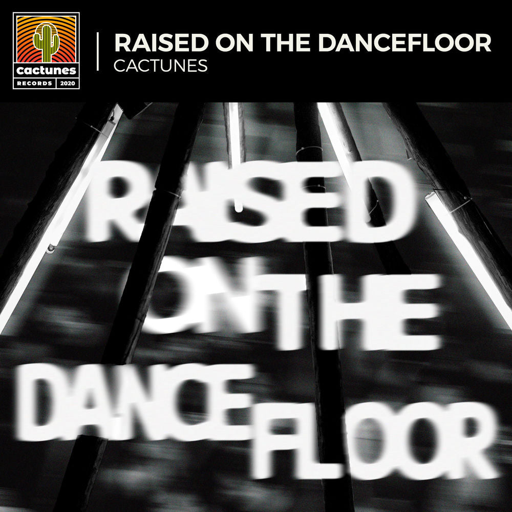 Raised On The Run cover