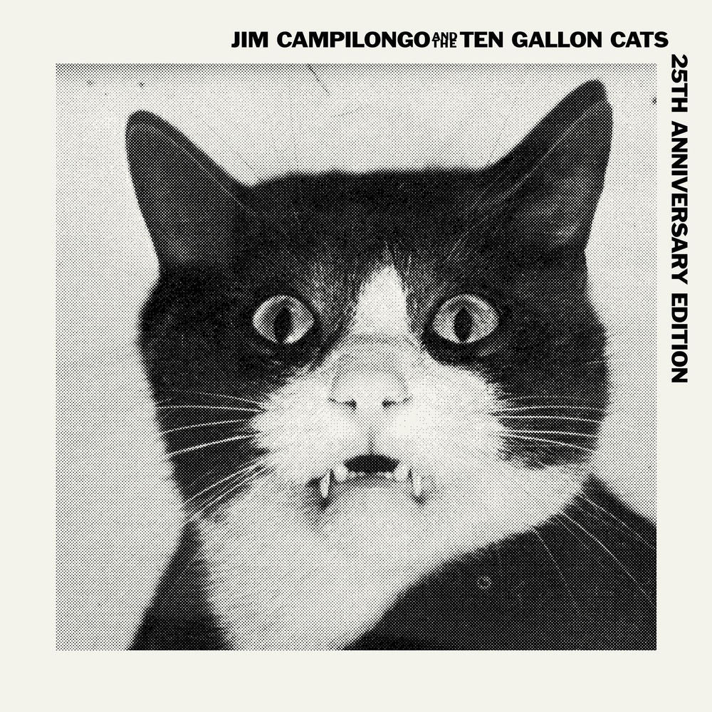 Jim Campilongo & The 10 Gallon Cats cover