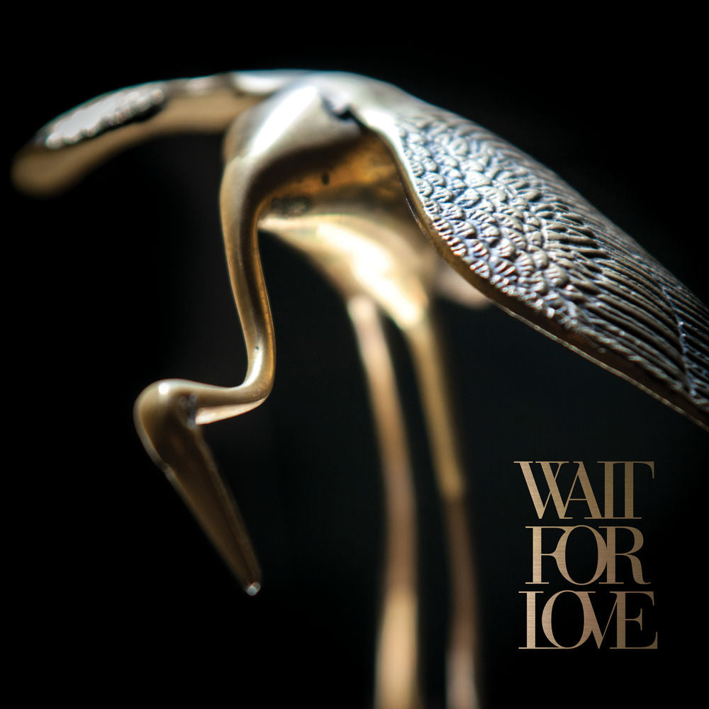 Wait For Love cover