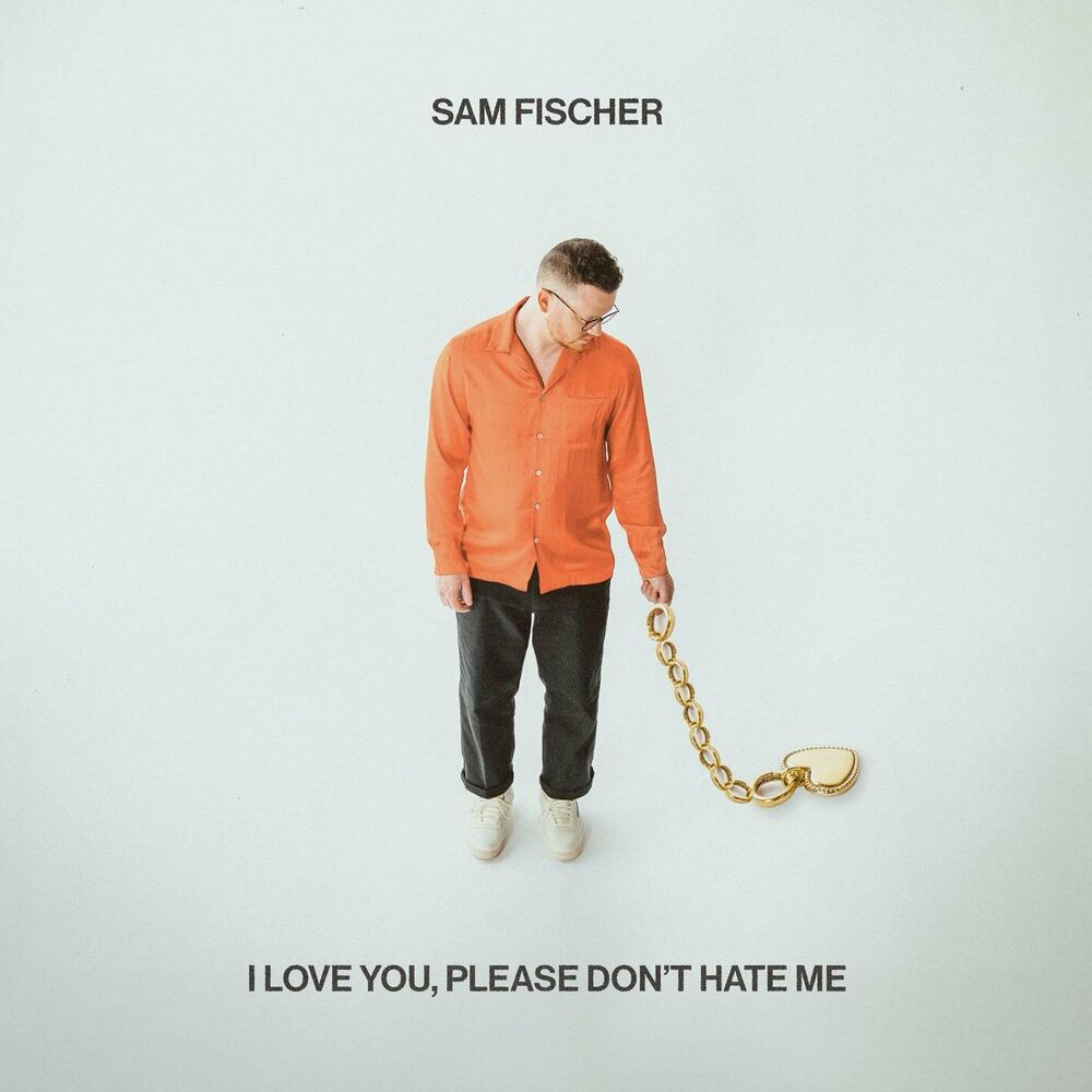 I Love You Please Don't Hate Me cover