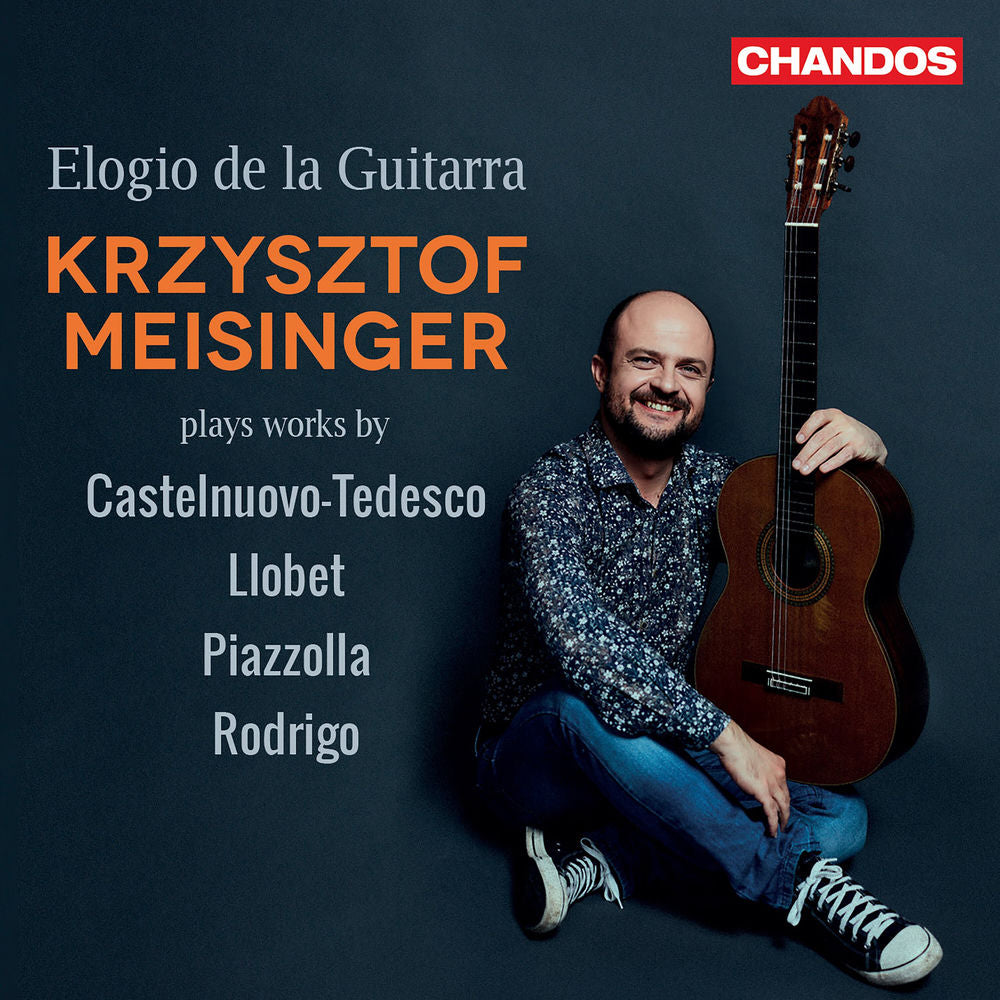 Elogio de la Guitarra cover