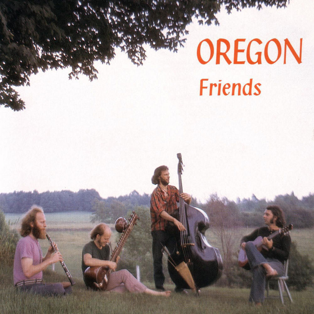 Friends cover