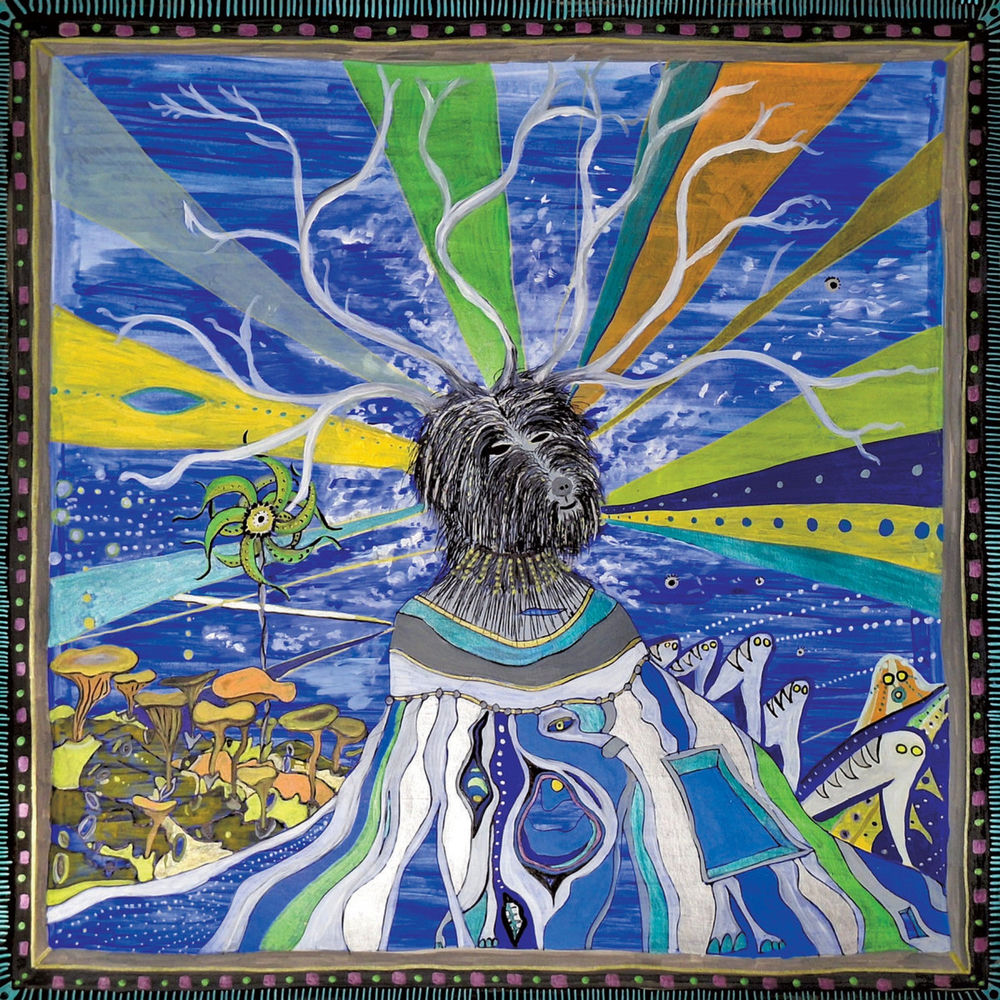 Janus cover
