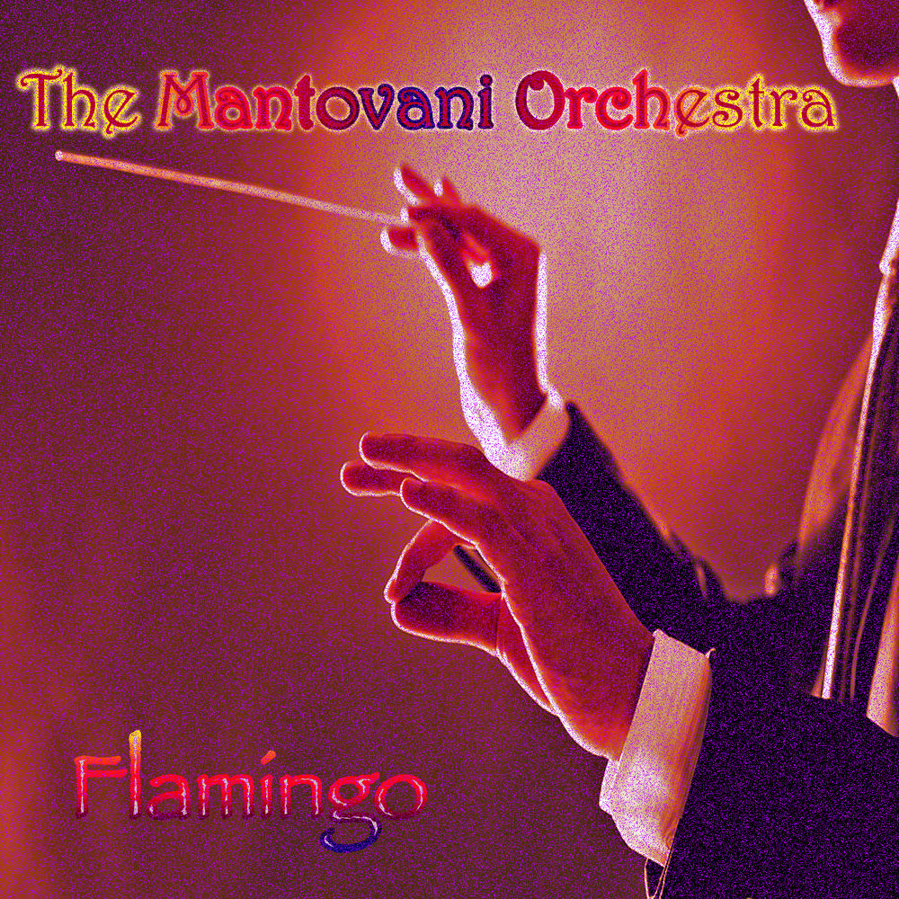 Mantovani Orchestra - Flamingo cover