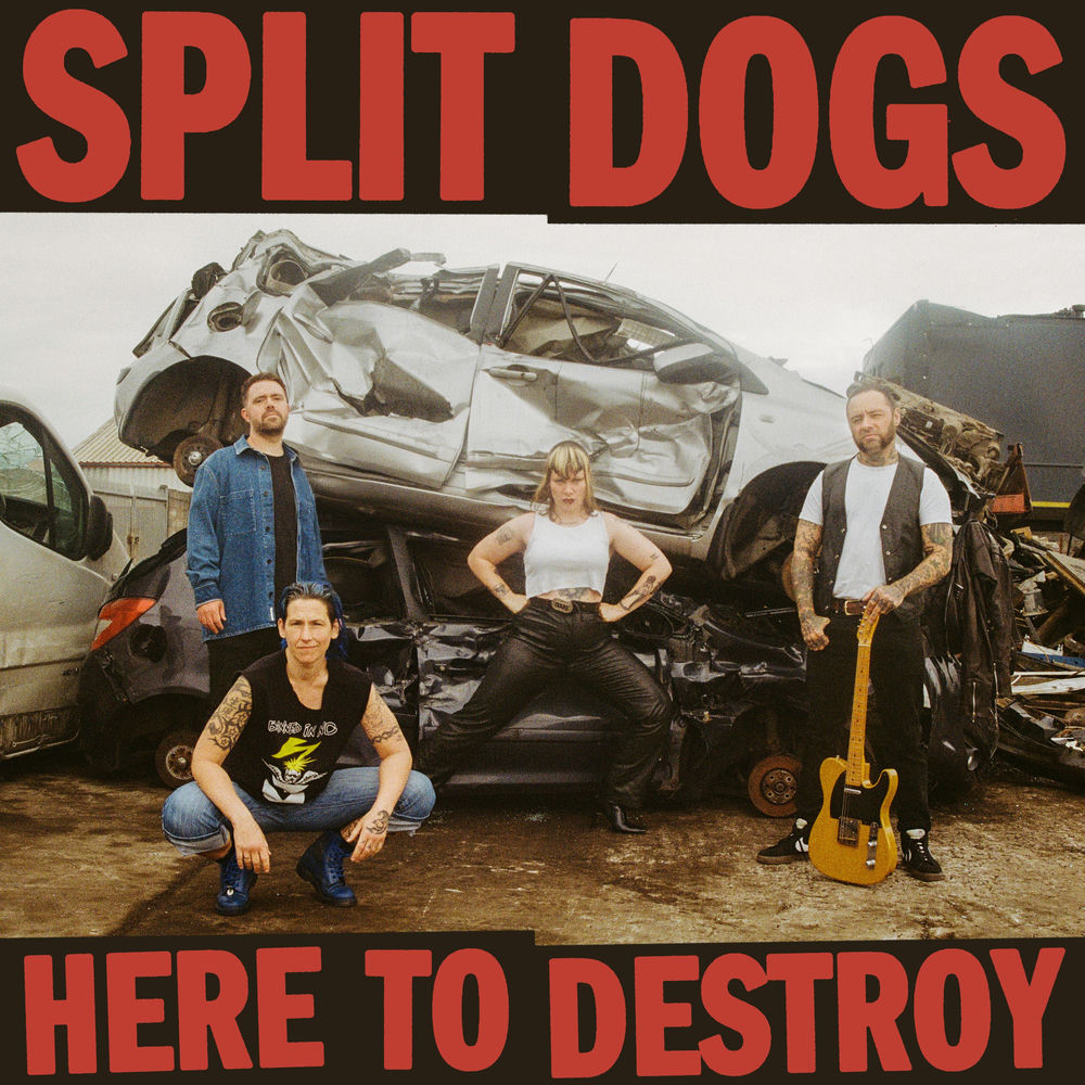 Here To Destroy cover