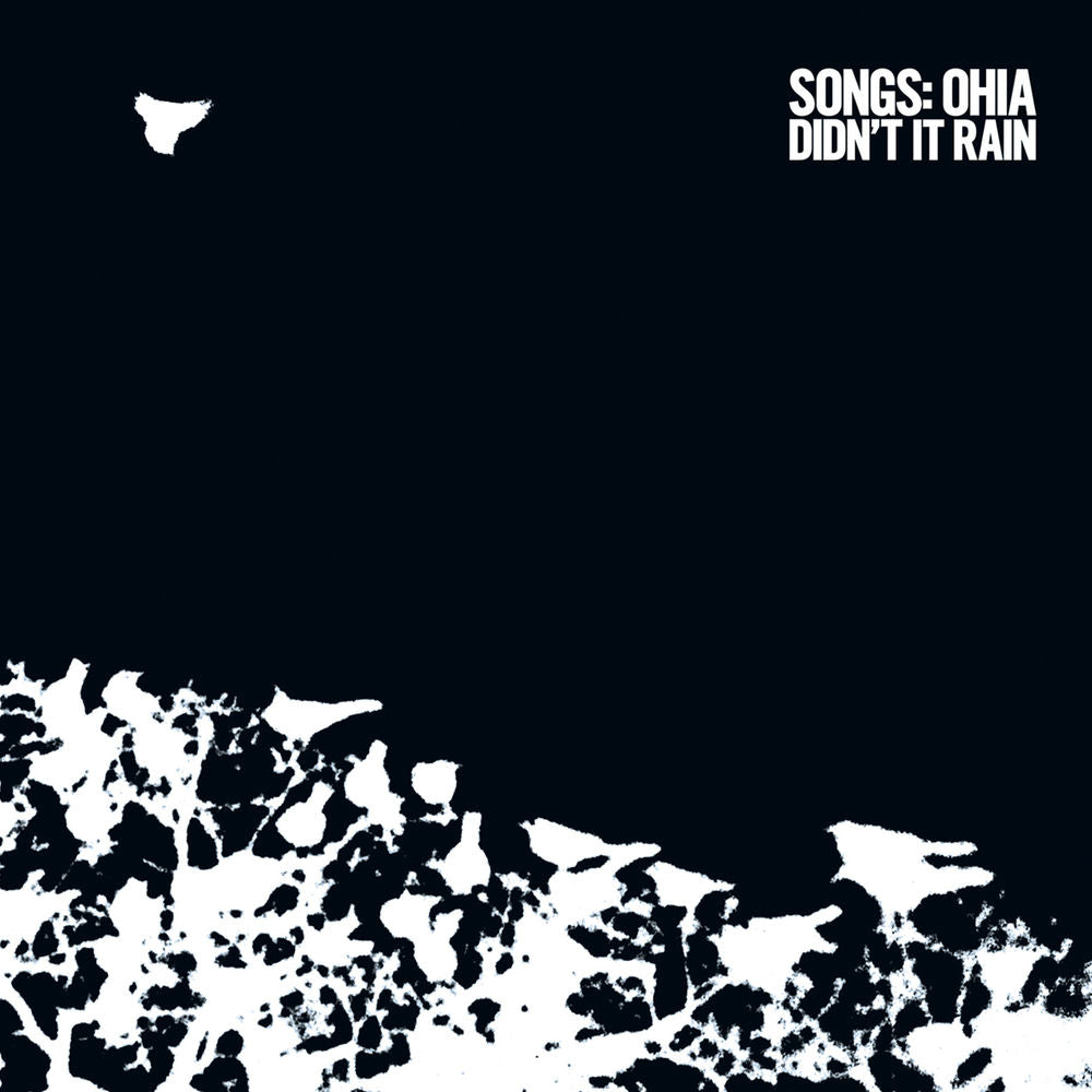 Didn't It Rain cover