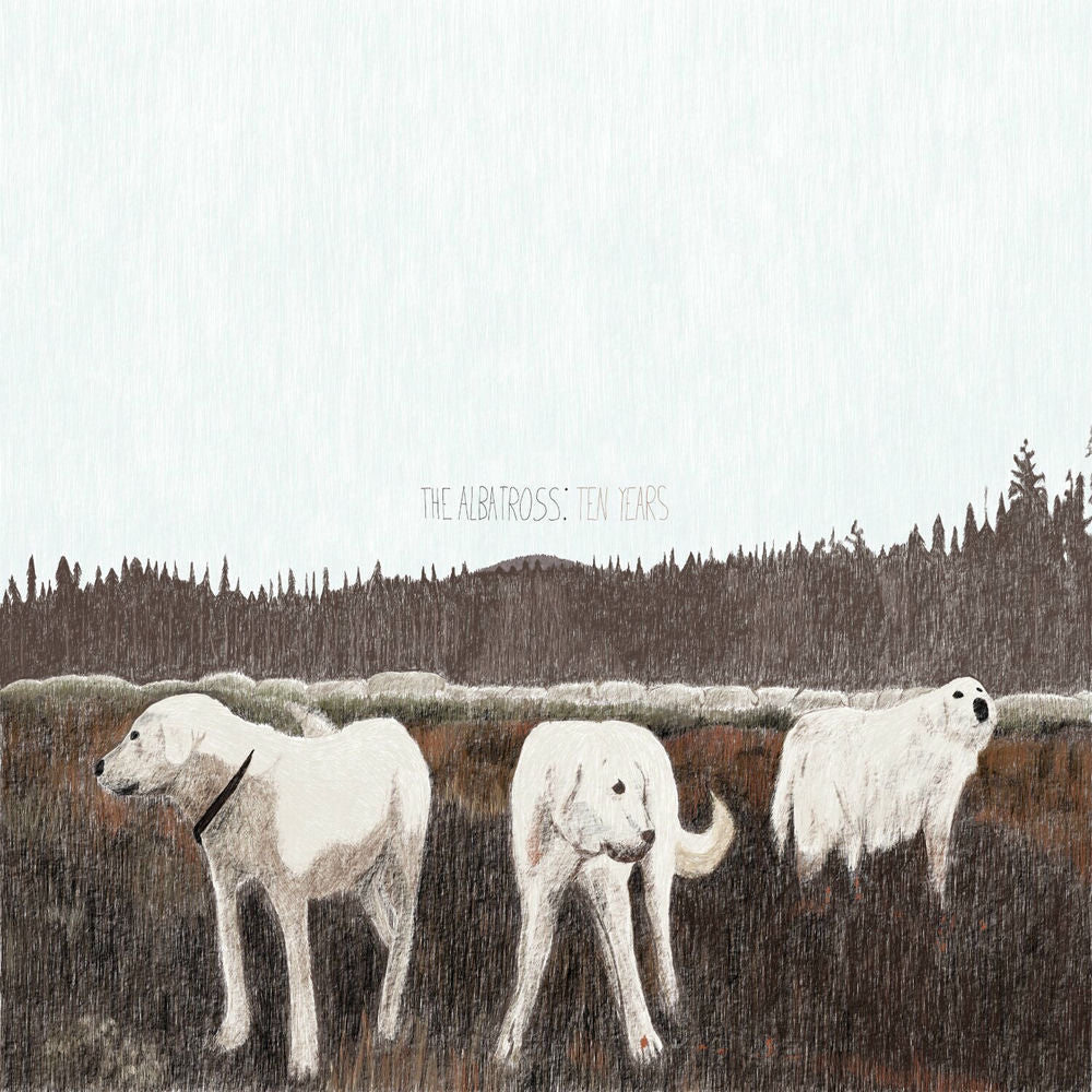 The Albatross: Ten Years cover