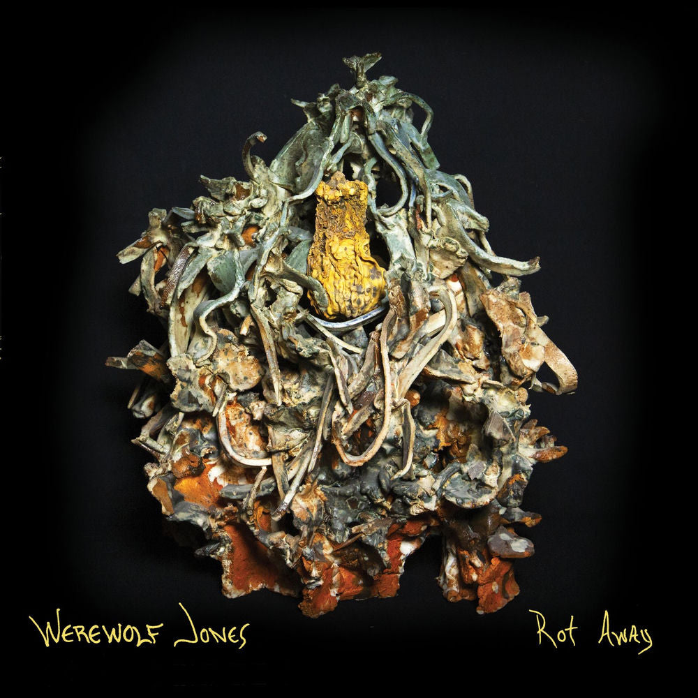 Rot Away cover