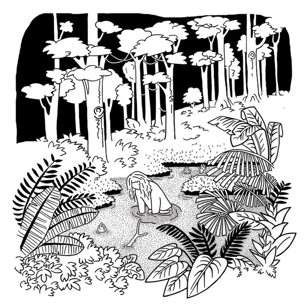 Soft Opening cover