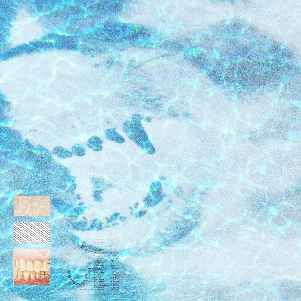 Fangs cover