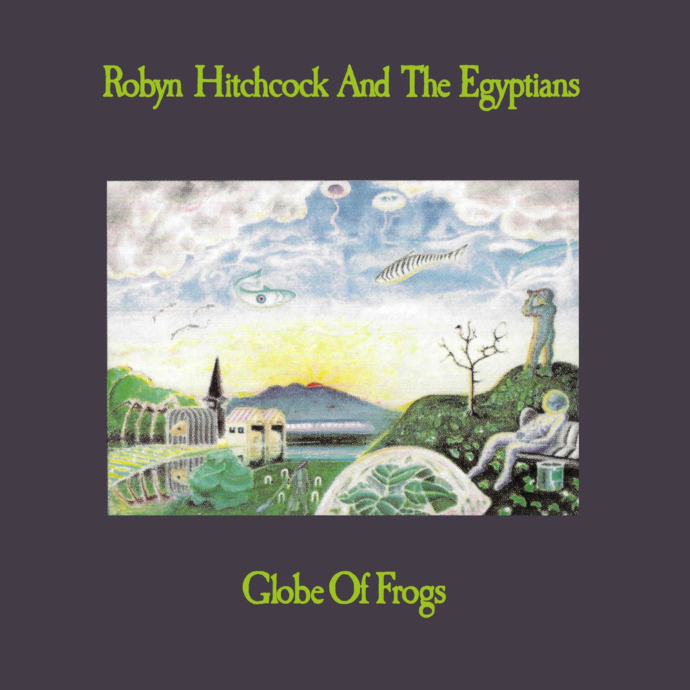Robyn Hitchcock cover