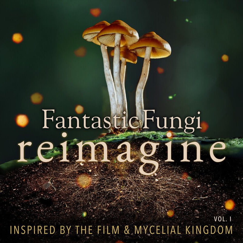 Fantastic Fungi: Reimagine (Various Artists) cover