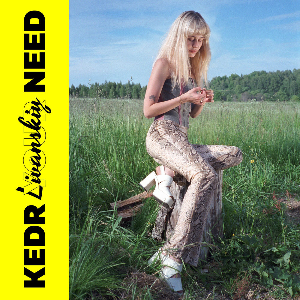 Your Need cover
