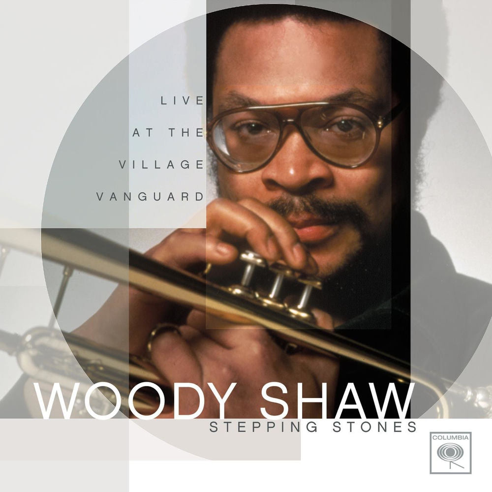 Stepping Stones: Live At The Village Vanguard cover