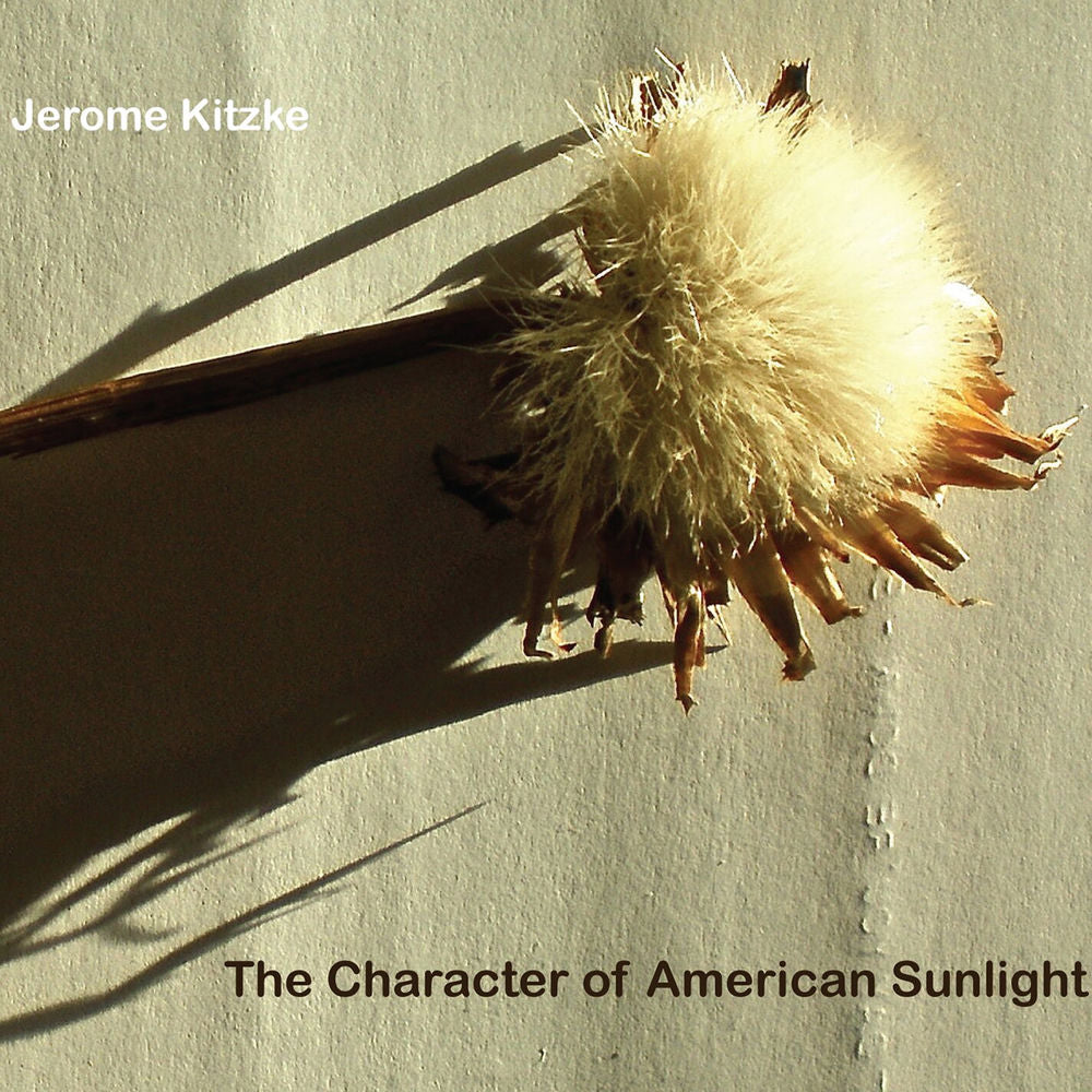 Character of American Sunlight cover