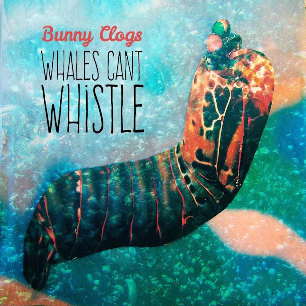 Whales Can't Whistle cover