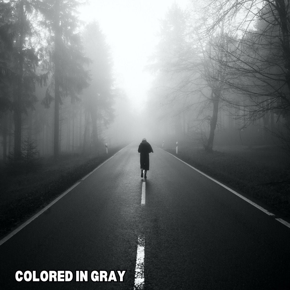 Rain Fades In Grey cover