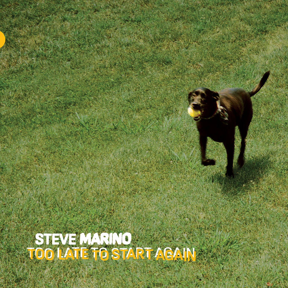 Too Late To Start Again cover