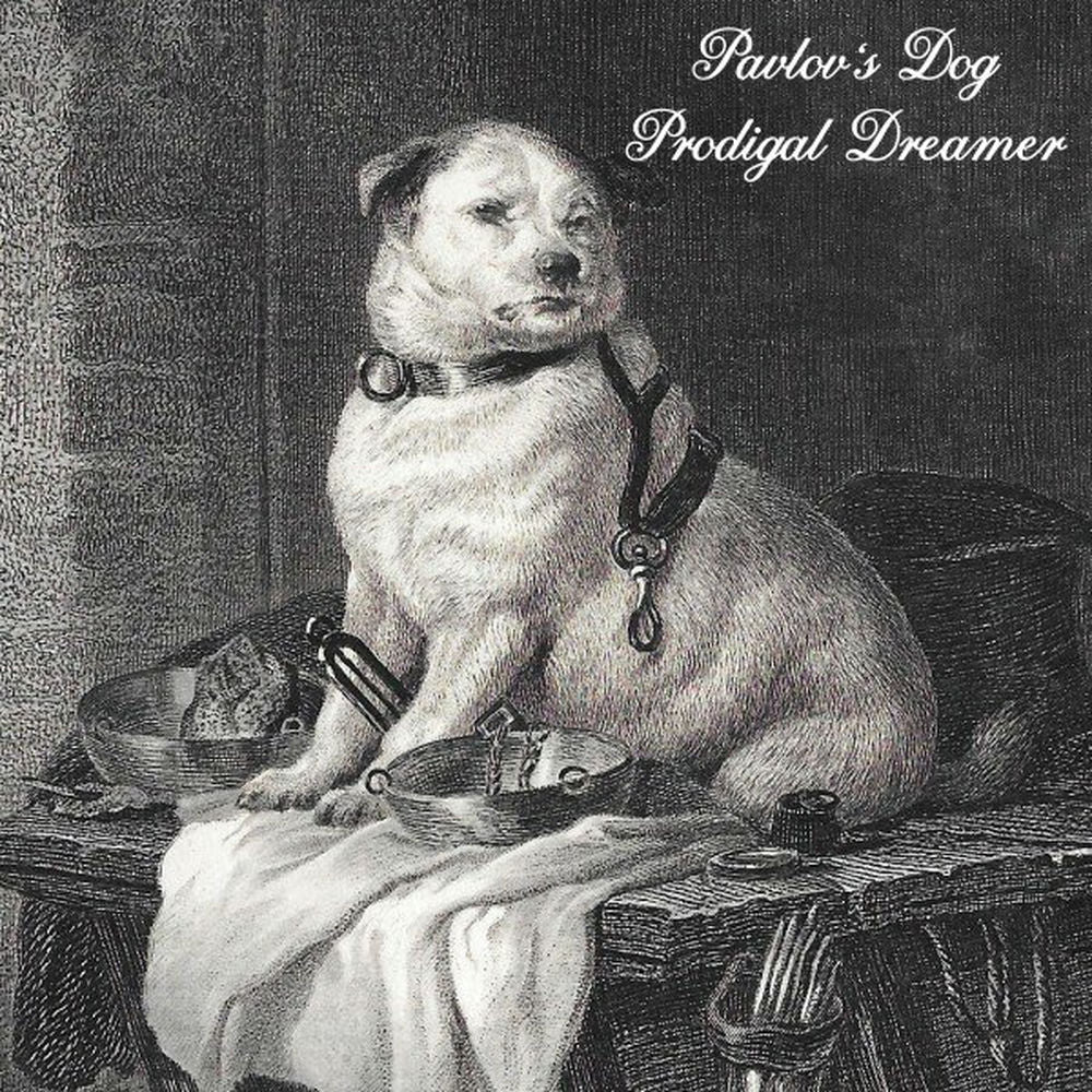Prodigal Dreamer cover
