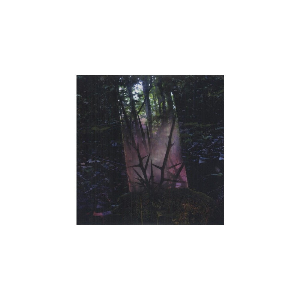Stealth of Days