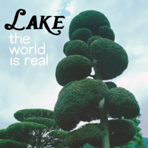 The World Is Real