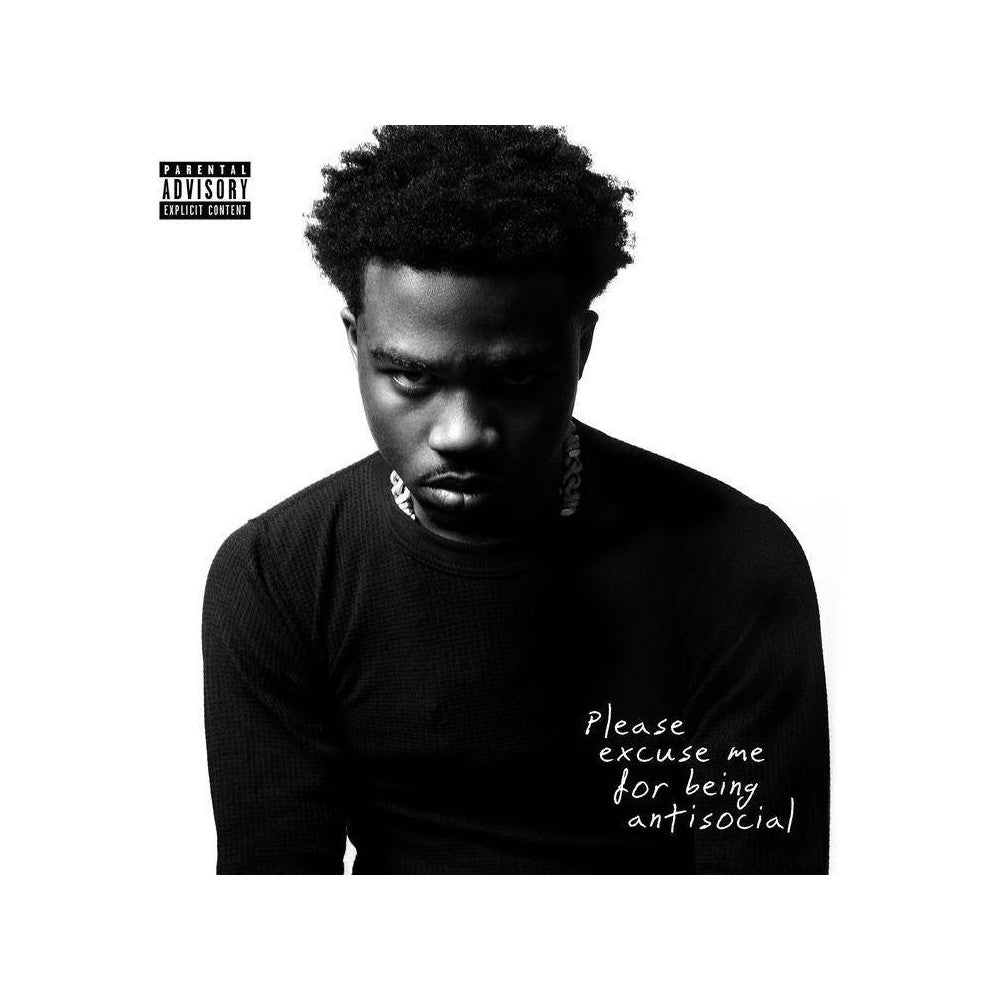 Please Excuse Me For Being Antisocial (2LP Vinyl)