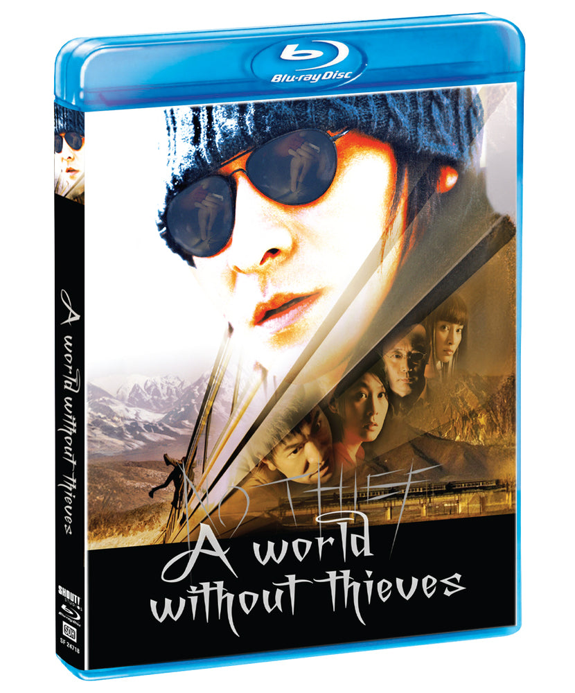 A World Without Thieves