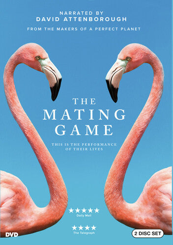 The Mating Game Yr 1