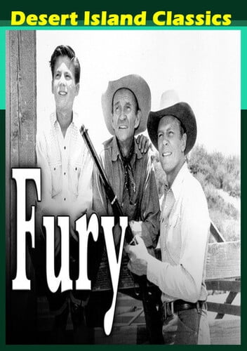 Fury