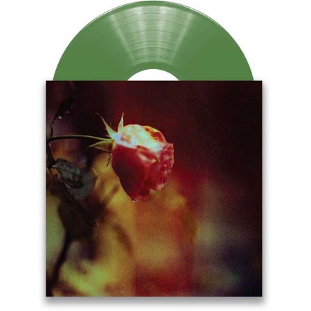 Stretch The Truth B/W Green & Gold (Olive Green)