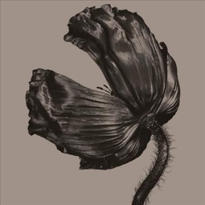 Release (2017 Remastered Version)(Vinyl)