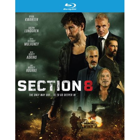 Section 8