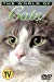 The World of Cats: Understanding Your Cat