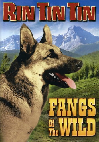 Rin Tin Tin - Fangs Of The Wild