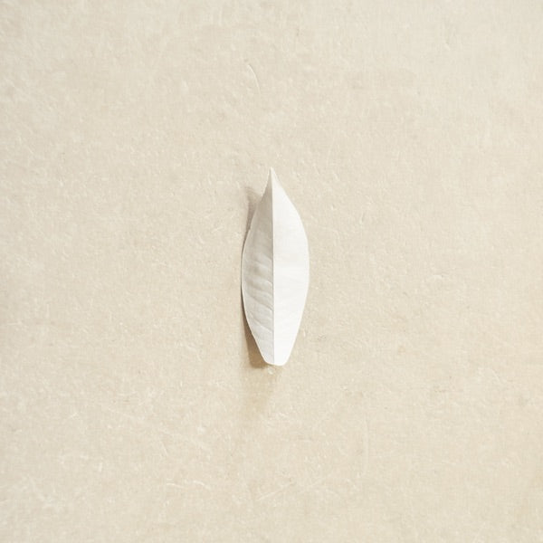 The Complexity of the Simple cover