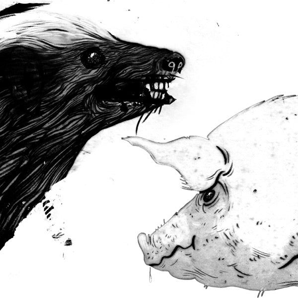Honey Badger / Pig cover